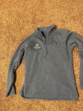 Patagonia Heather Blue Quarter-Zip Fleece Pullover University of MN Duluth